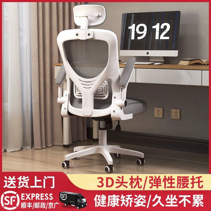 Computer Chair Comfortable Long-Sitting Home Office Chair Staff Dormitory E-Sports Seat Ergonomic Study Chair Desk Chair